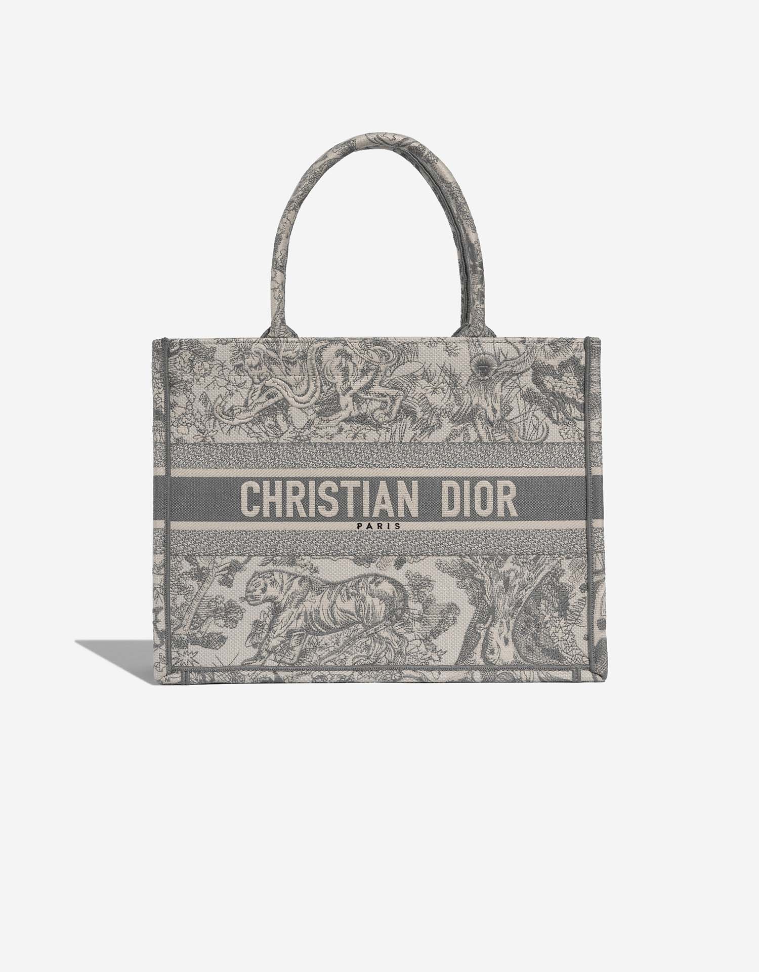 Dior Book Tote Medium Canvas Grey / Blue | SACLÀB