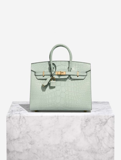 Hermès Birkin 25 VertD'Eau Front  | Sell your designer bag on Saclab.com
