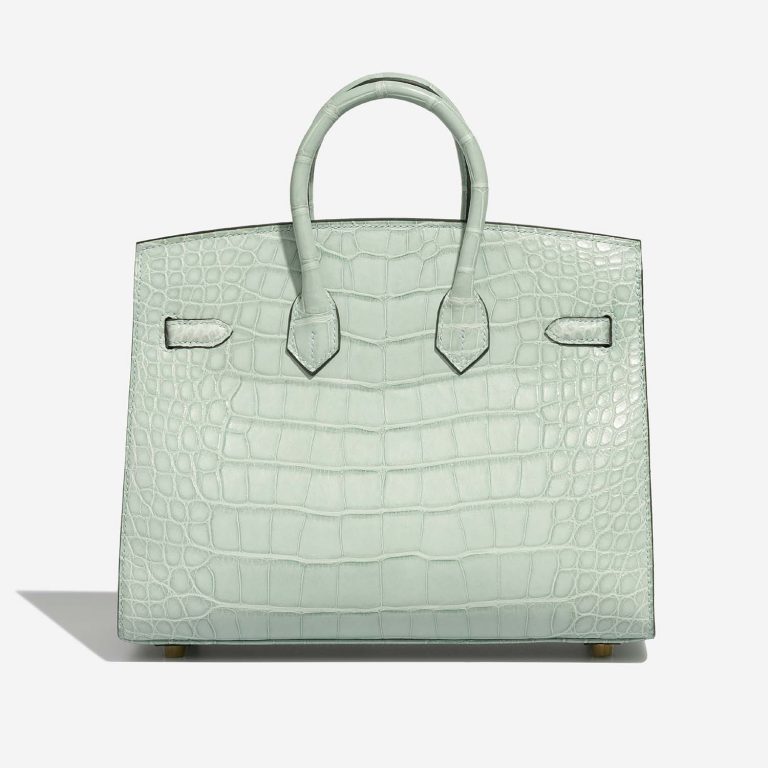 Hermès Birkin 25 VertD'Eau Back  | Sell your designer bag on Saclab.com
