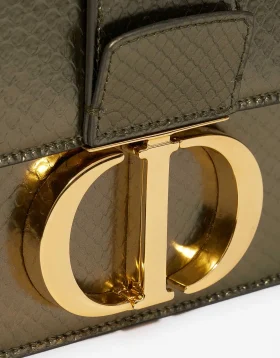 Clasp Details on a Metallic Python Green 30 Montaigne, sold on saclab.com
