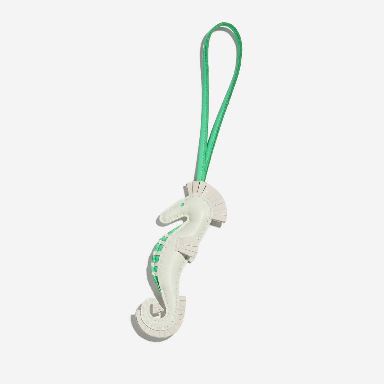 Hermès HippoSeahorse VertFizz-VertComics-Craie Front  S | Sell your designer bag on Saclab.com