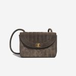 Chanel Diana Medium Taupe Front  | Sell your designer bag on Saclab.com