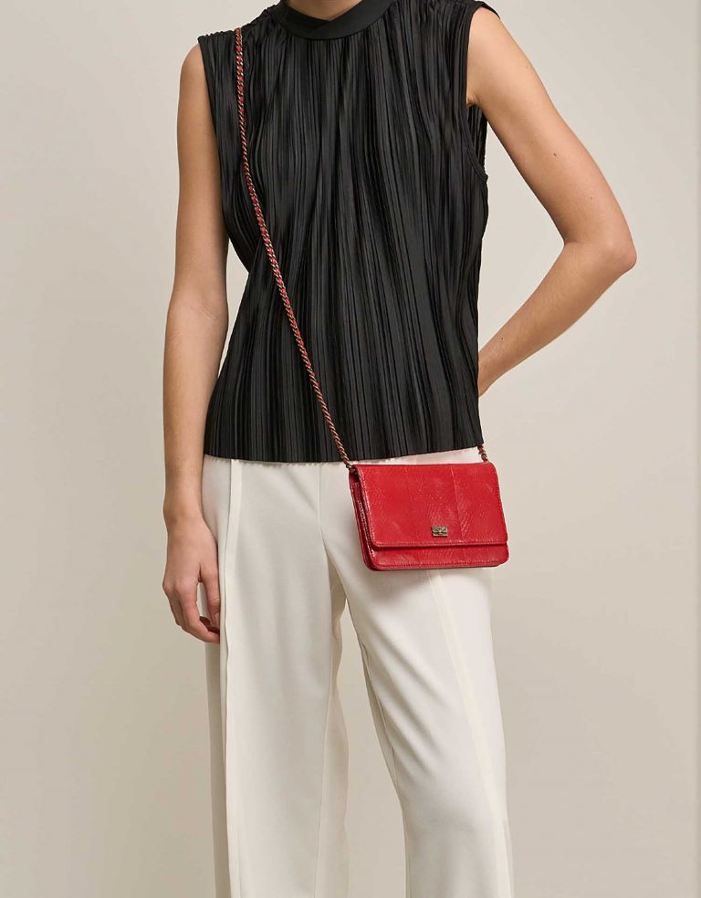 Pre-owned Chanel bag Wallet On Chain Python Red Red | Sell your designer bag on Saclab.com