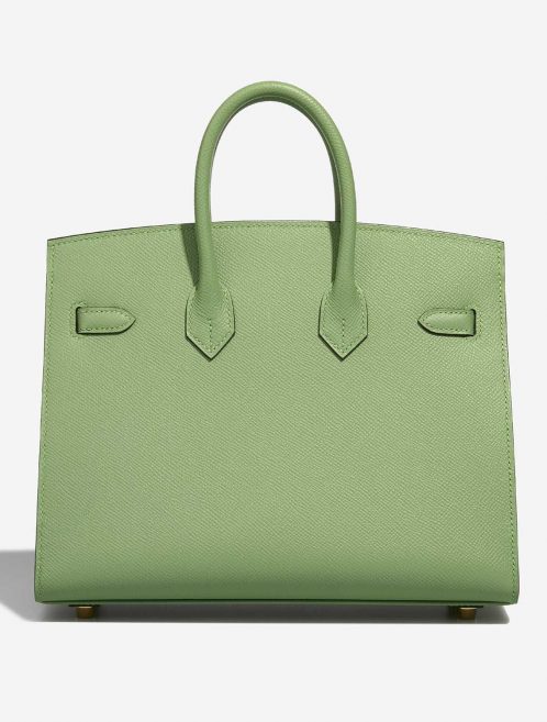 Hermès Birkin 25 VertCriquet Back  | Sell your designer bag on Saclab.com