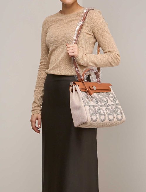 Pre-owned Hermès bag Herbag Circuit 24 31 Toile / Vache Hunter Gris Meyer / Écru / Beige / Naturel Grey, Multicolour, White | Sell your designer bag on Saclab.com