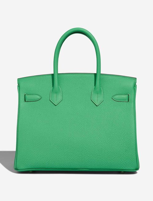 Hermès Birkin 30 Togo Vert Comics | Sell your designer bag