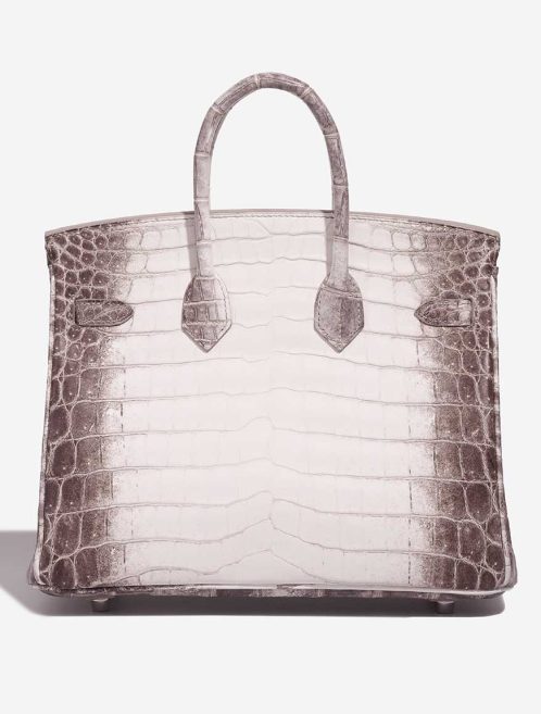 Hermès Birkin Himalaya 25 Niloticus Crocodile White | Sell your designer bag