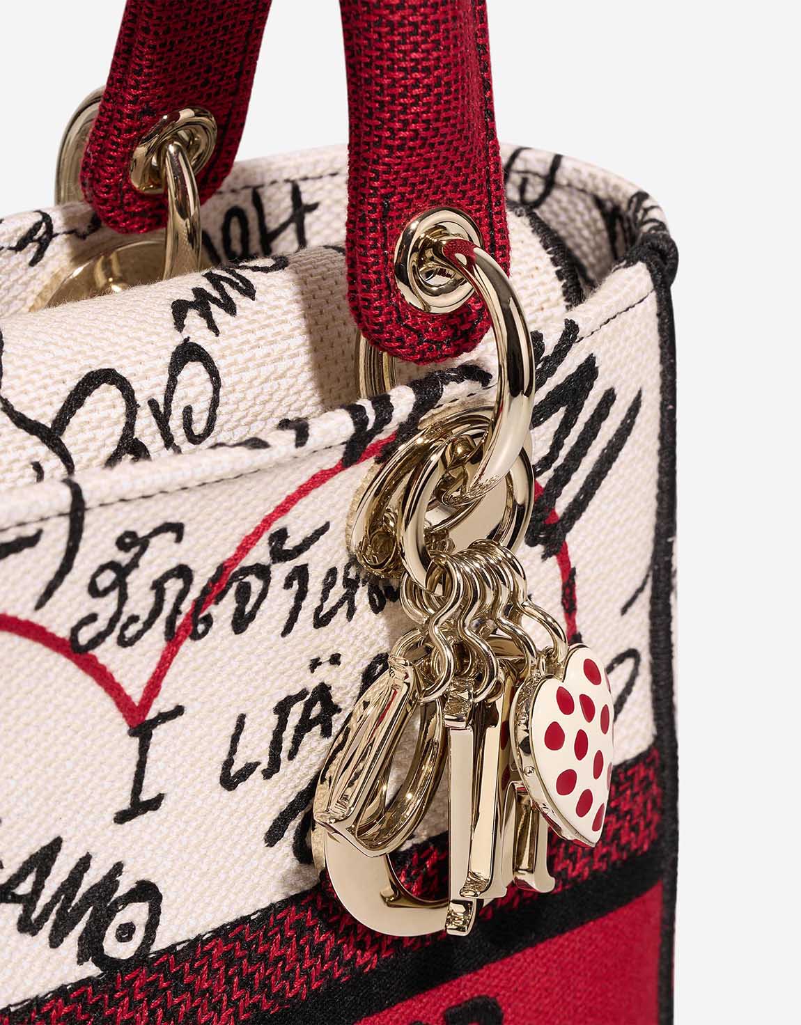 Dior Lady D-Lite Dioramour Graffiti Medium Canvas White