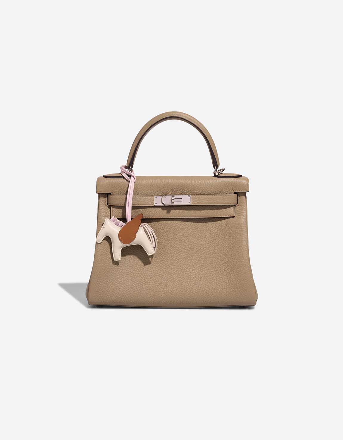Hermès Rodéo Pegasus PM Milo Craie / Mauve Pâle / Gold | SACLÀB