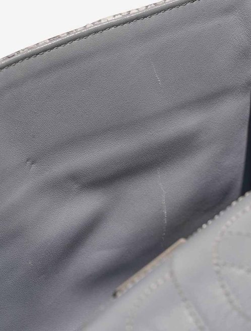 Chanel 2.55 227 Python Light Blue Signs of wear | Sell your designer bag