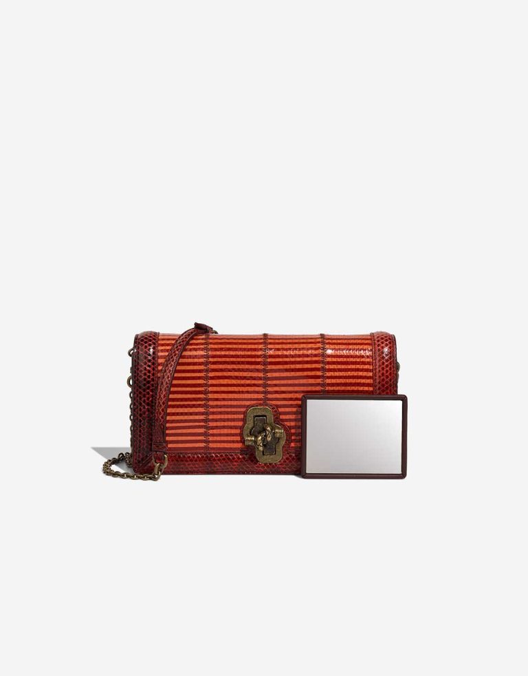 Bottega Veneta City Knot Python / Lamb Burgundy / Orange Front | Sell your designer bag