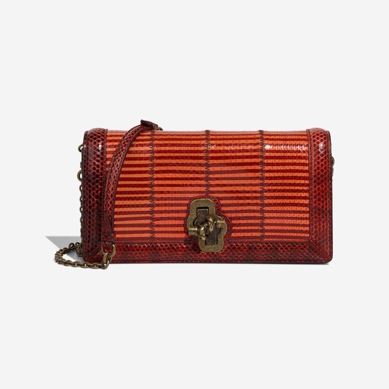 Bottega Veneta City Knot Python / Lamb Burgundy / Orange Front | Sell your designer bag