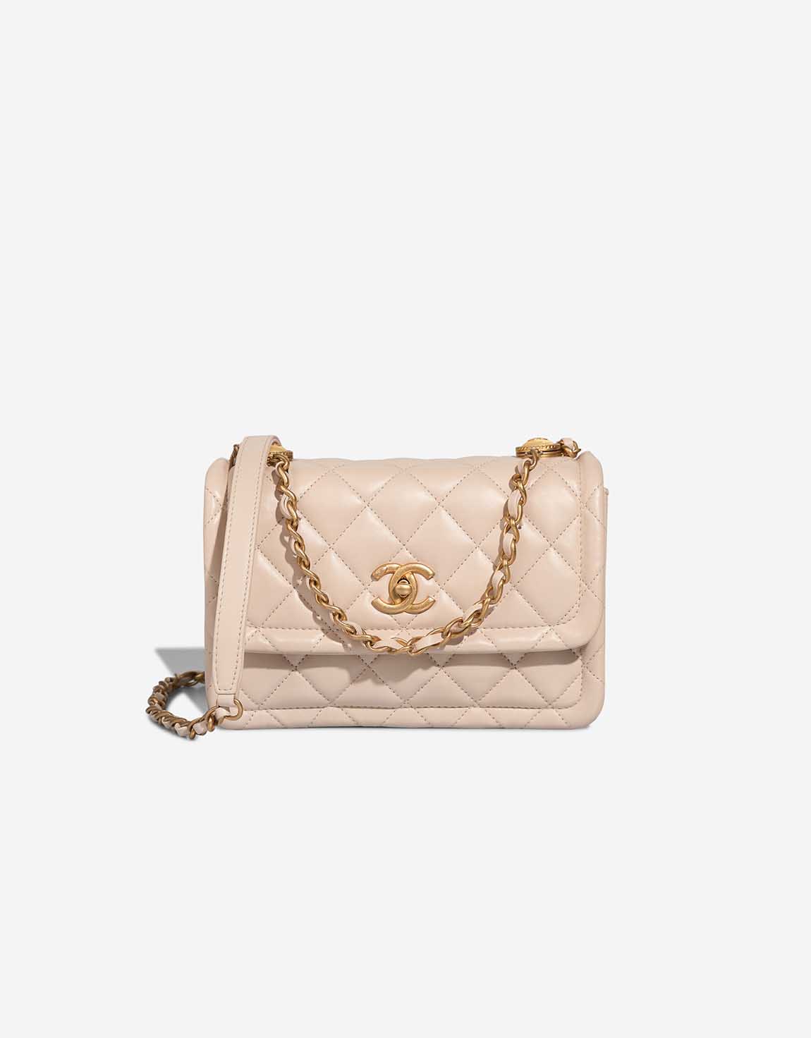 5454_Chanel_TimelessFlapBag_Sm