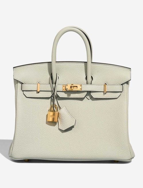 Hermès Birkin 25 Togo Gris Neve Front | Sell your designer bag