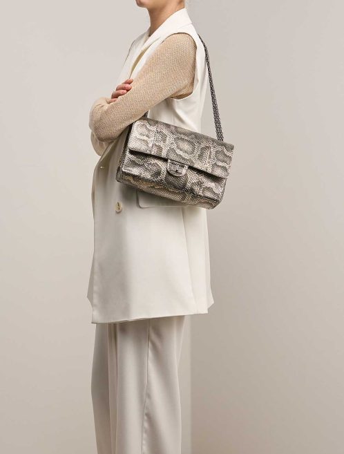 Chanel 2.55 Reissue 227 Python Grey on Model | Sell your designer bag