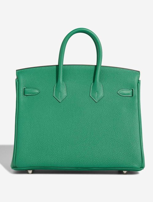 Hermès Birkin 25 Togo Vert Vertigo | Sell your designer bag
