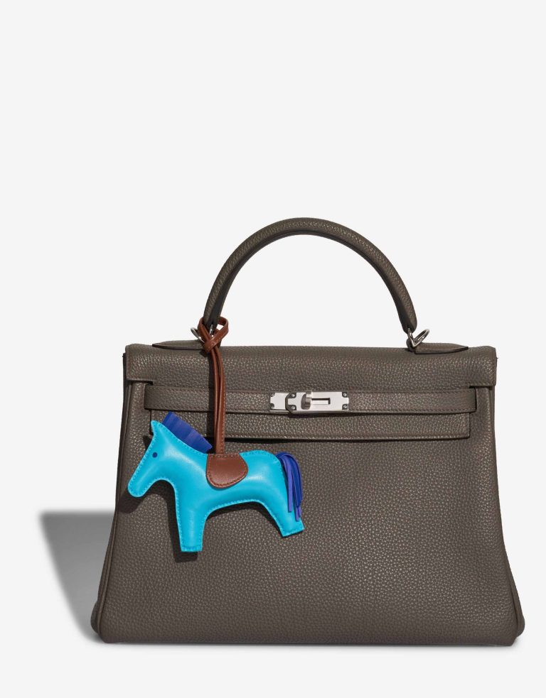 Hermès Rodeo MM Lamb Turquoise / Alezan / Anemone Closing System | Sell your designer bag
