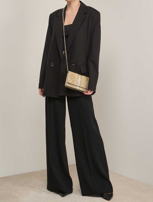 Chanel Wallet On Chain Python Beige / Gold on Model | Sell your designer bag