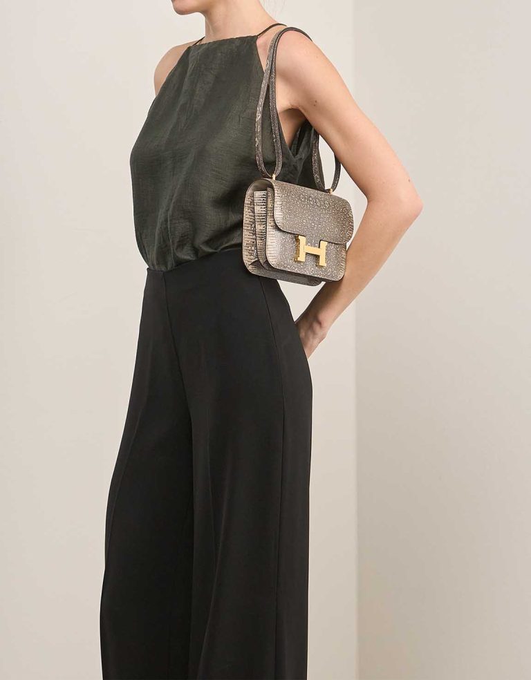 Hermès Constance 18 Lizard Désert Ombré Front | Sell your designer bag