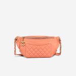 Chanel Timeless Belt Bag Medium Lamb Coral Front | Sell your designer bag