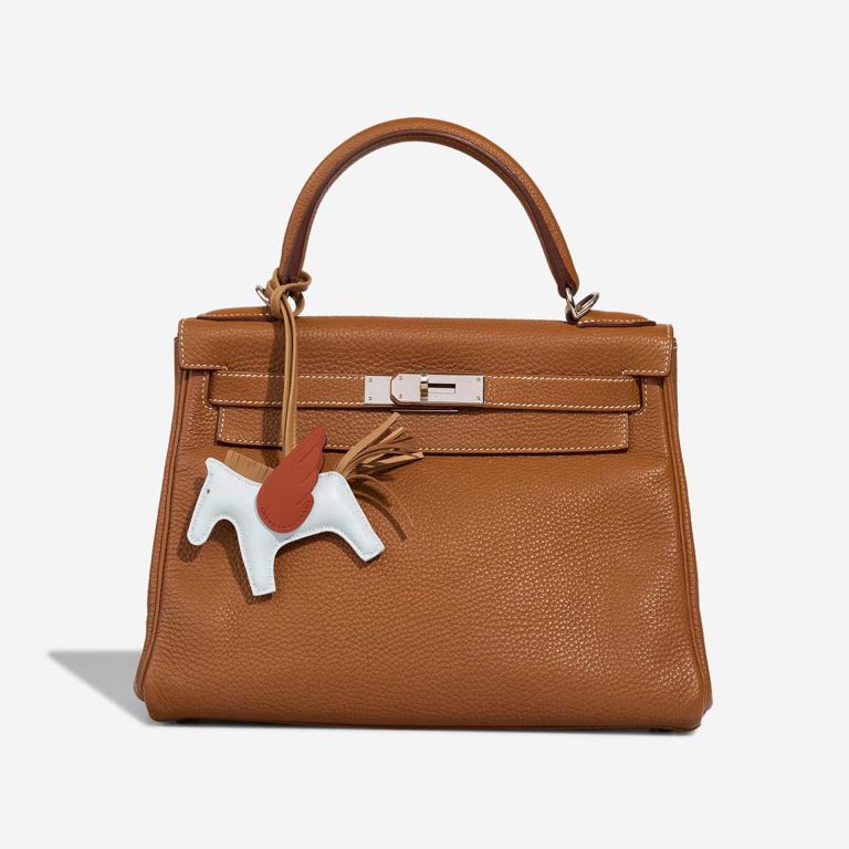 Hermès Rodeo Pegasus PM Milo Lamb Bleu Brume / Chai / Gold Closing System | Sell your designer bag