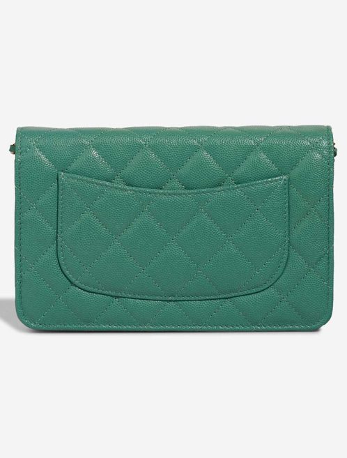 Chanel Wallet On Chain Wallet On Chain Caviar Water Green | Sell your designer bag