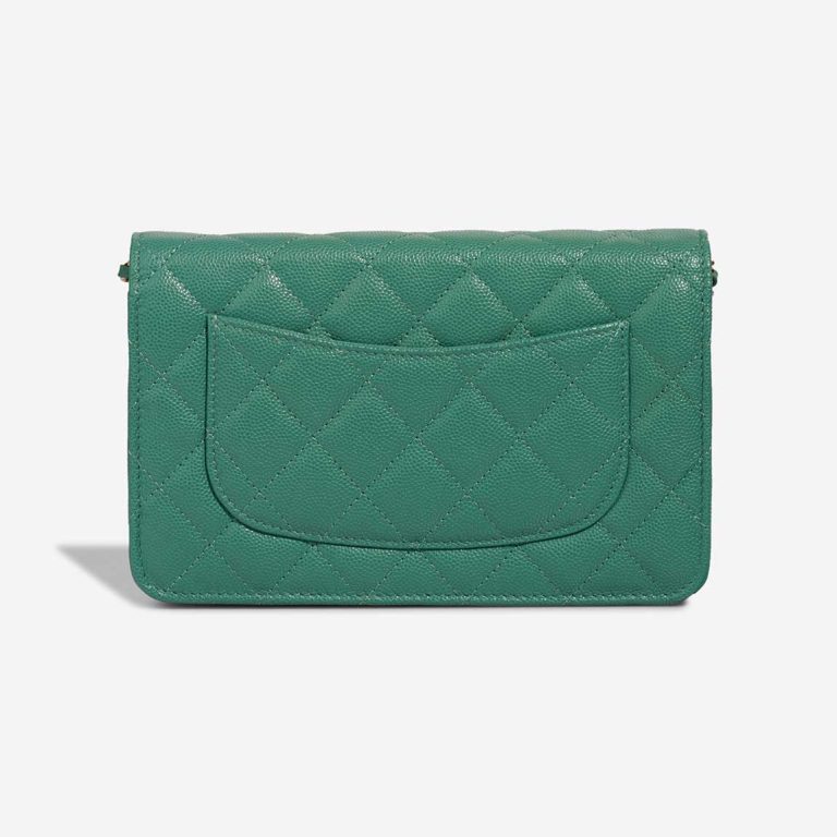 Chanel Wallet On Chain Wallet On Chain Caviar Water Green | Sell your designer bag