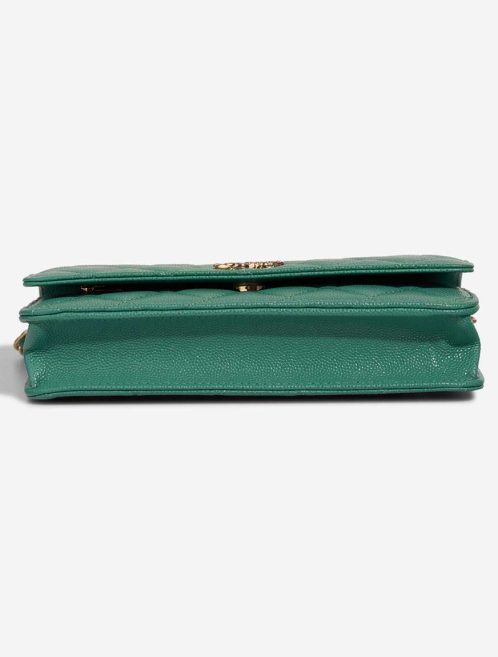 Chanel Wallet On Chain Wallet On Chain Caviar Water Green | Sell your designer bag