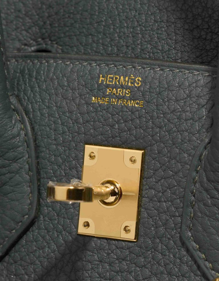 Hermès Birkin 25 Togo Vert Mangrove Logo | Sell your designer bag