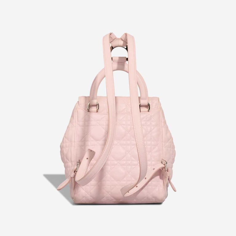 Dior Backpack Small Lamb Pink | Sell your designer bag