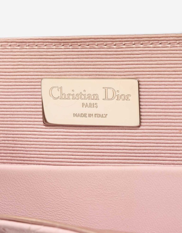 Dior Backpack Small Lamb Pink Logo | Sell your designer bag