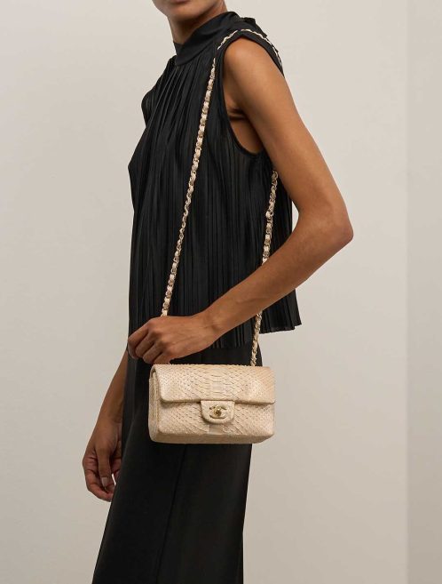 Chanel Timeless Mini Rectangular Python Light Grey / Gold / Beige on Model | Sell your designer bag