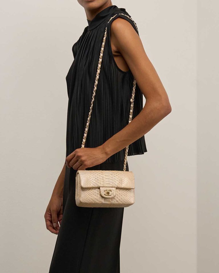 Chanel Timeless Mini Rectangular Python Light Grey / Gold / Beige Front | Sell your designer bag