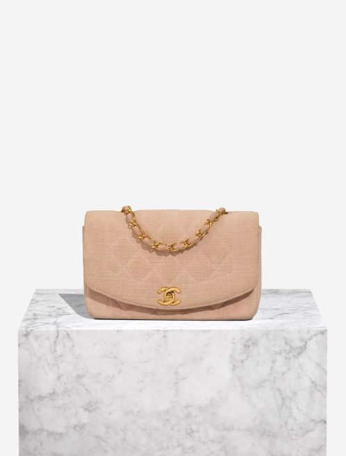 Chanel Diana Small Canvas Rose Front | Sell your designer bag