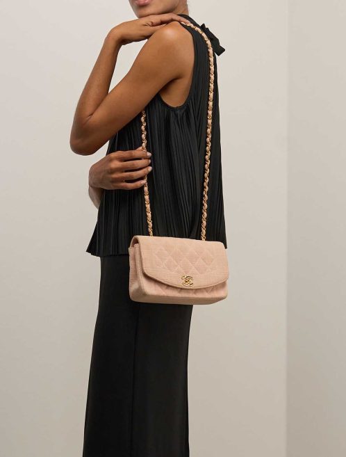 Chanel Diana Small Canvas Rose on Model | Sell your designer bag