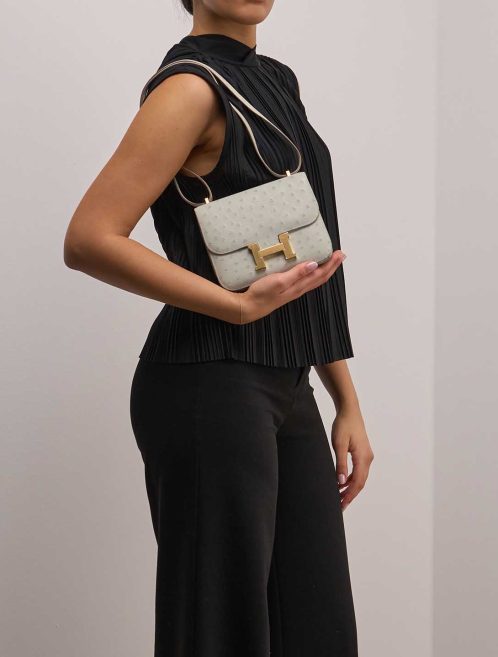Hermès Constance 18 Ostrich Gris Perle on Model | Sell your designer bag